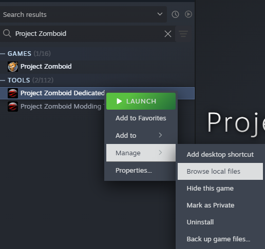 PZ on Steam Options